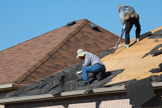 Best Roof Maintenance  in Murfreesboro, AR