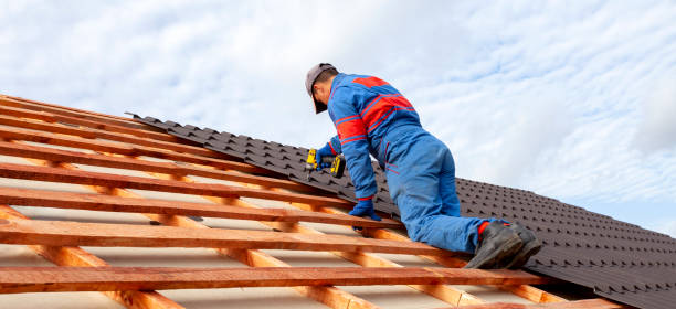 Best Metal Roofing Installation  in Murfreesboro, AR